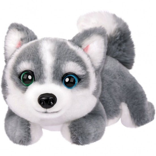 s Aurora de Husky + Geluid