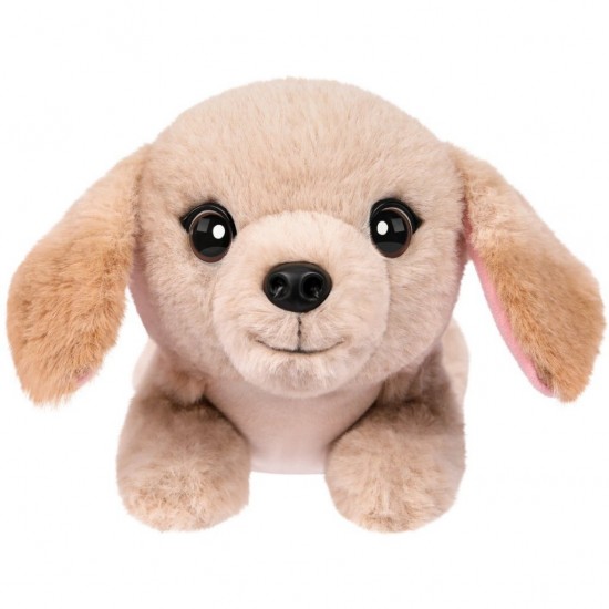 s Golden Retriever Buddy + Geluid