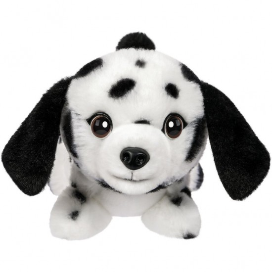 s Pepper de Dalmati&euml